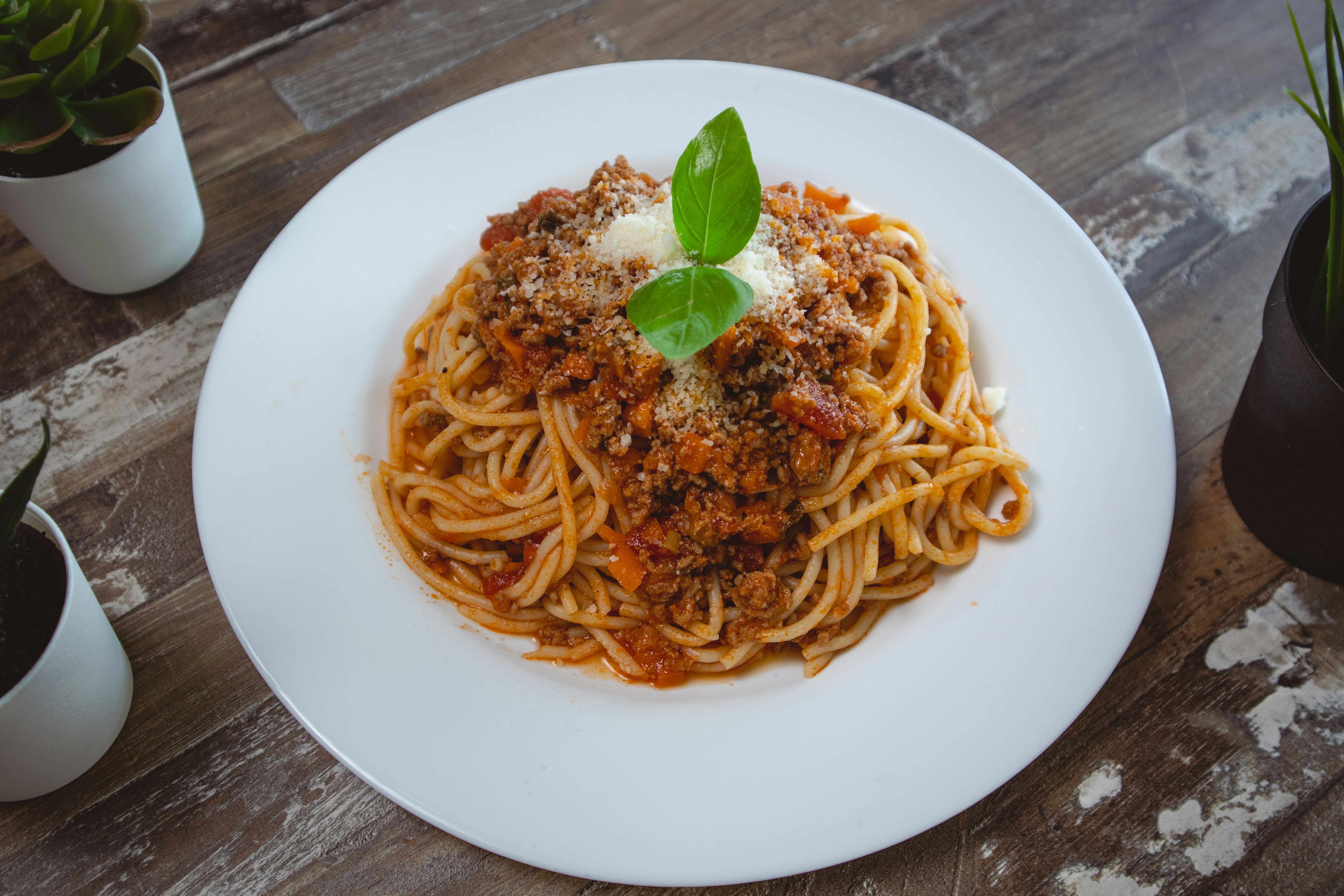 How to Make Spaghetti While Growing a Garden? The Complete Guide - BERITAJA